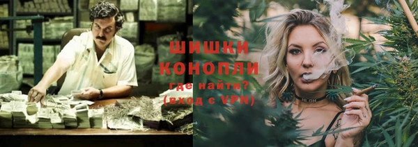 прущие грибы Белоозёрский